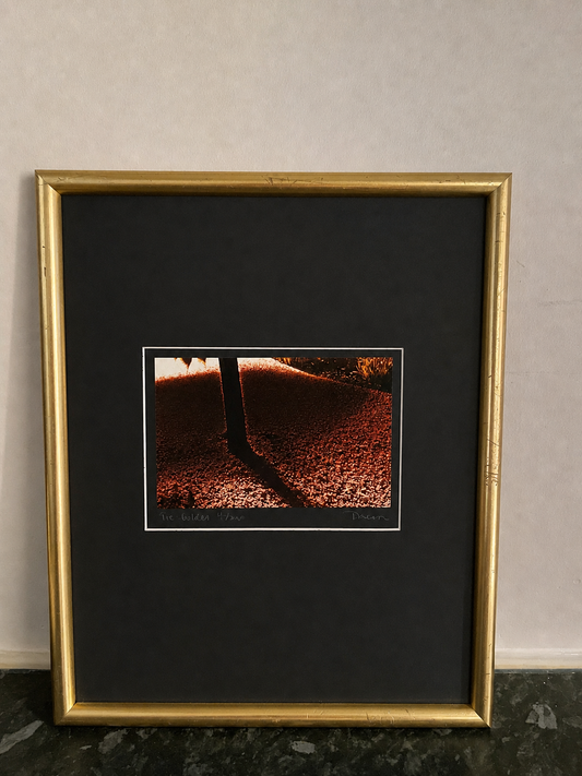 Thera Anne Lise Mjaaland – “Trebildet” – Signed C-print (35/250)